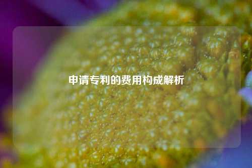 申请专利的费用构成解析